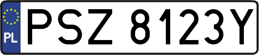 PSZ8123Y
