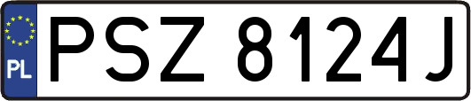 PSZ8124J
