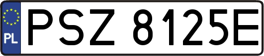 PSZ8125E