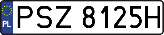 PSZ8125H