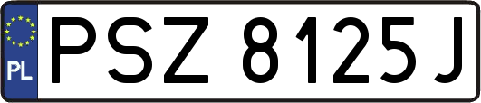 PSZ8125J