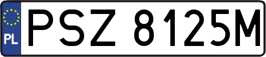 PSZ8125M