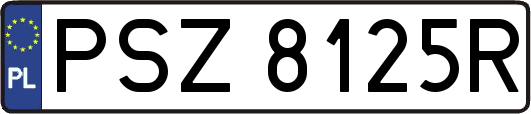PSZ8125R