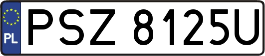 PSZ8125U
