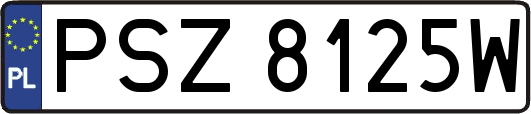 PSZ8125W