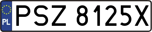 PSZ8125X