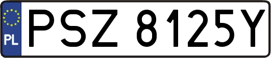 PSZ8125Y