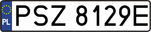 PSZ8129E