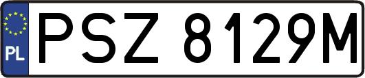 PSZ8129M