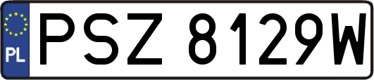 PSZ8129W