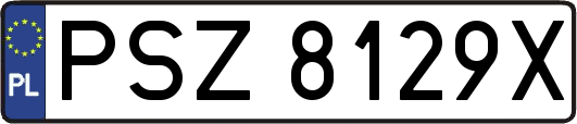 PSZ8129X