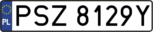 PSZ8129Y
