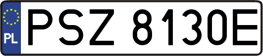 PSZ8130E