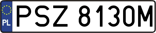 PSZ8130M