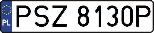 PSZ8130P