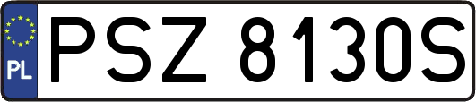 PSZ8130S