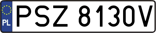 PSZ8130V