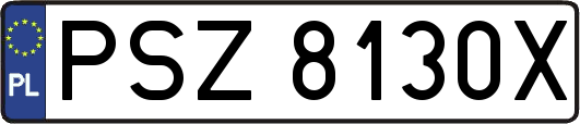 PSZ8130X