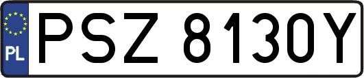 PSZ8130Y