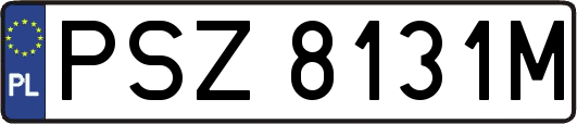 PSZ8131M
