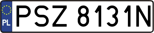 PSZ8131N
