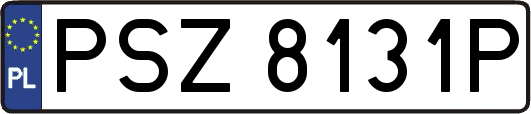 PSZ8131P