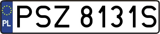 PSZ8131S
