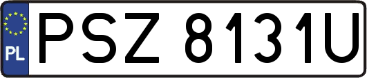 PSZ8131U
