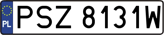 PSZ8131W