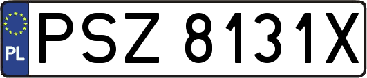 PSZ8131X