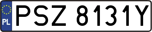 PSZ8131Y