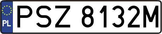 PSZ8132M