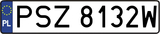 PSZ8132W