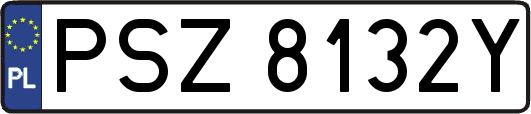 PSZ8132Y