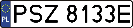 PSZ8133E