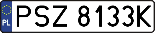 PSZ8133K