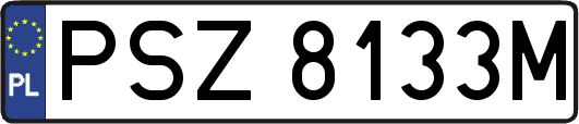 PSZ8133M