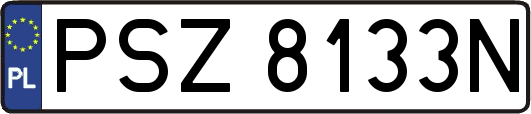 PSZ8133N