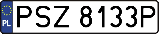 PSZ8133P