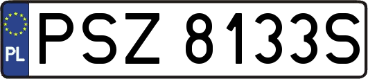 PSZ8133S