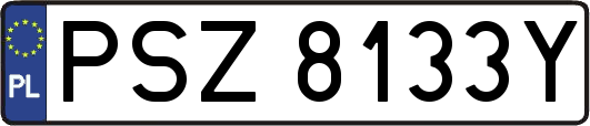 PSZ8133Y