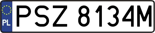 PSZ8134M