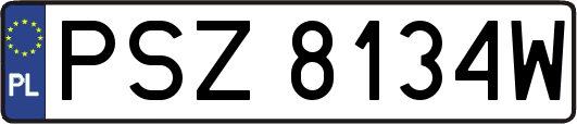 PSZ8134W