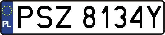 PSZ8134Y
