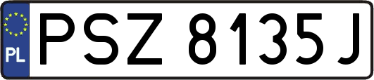 PSZ8135J
