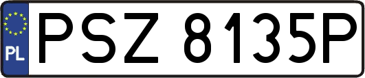 PSZ8135P