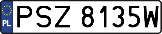 PSZ8135W