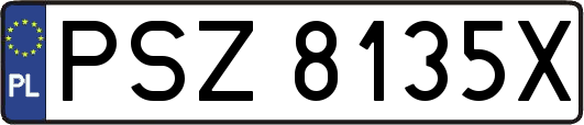 PSZ8135X