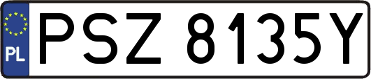 PSZ8135Y