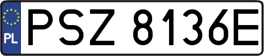 PSZ8136E